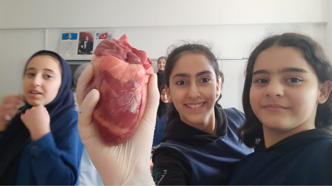 Kalbini Tanı Etkinliği - Genç Bilginler Bilim Etkinlikleri